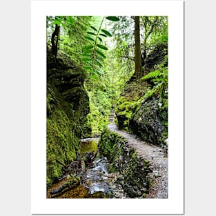 Puck's Glen, Scotland Posters and Art